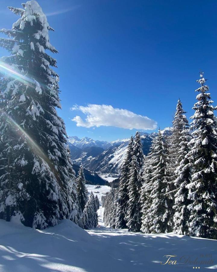 Hotel Tea Dolomiti Alleghe Eksteriør bilde